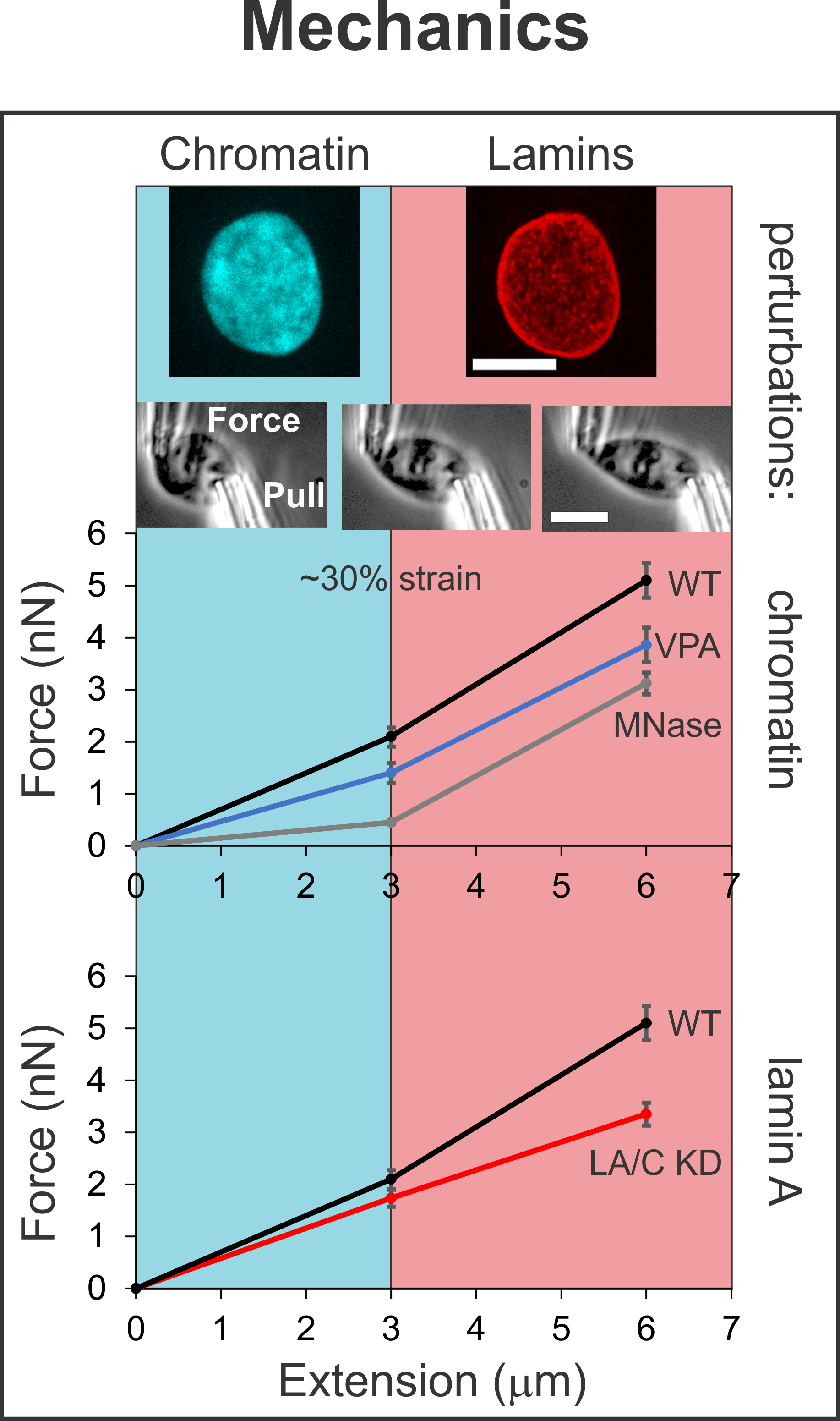 Micromanipulation | Stephens Lab